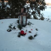 Pamela Herrmann Photo 17