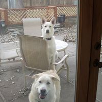 Richard Johns Photo 41