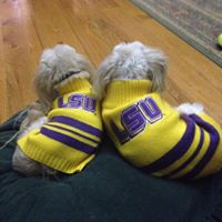 Melanie Newman Photo 17