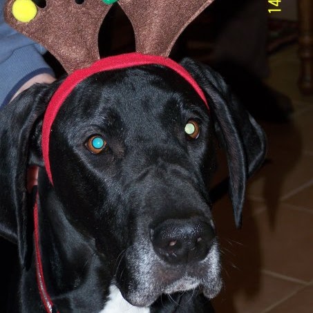 Kristin Jenkins Photo 11