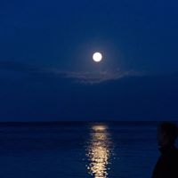 Steven Henriksen Photo 11