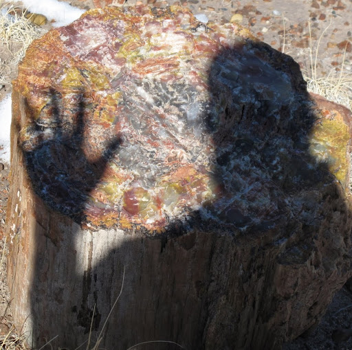 Joel Whitaker Photo 25