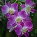 Kathleen Ford Photo 47
