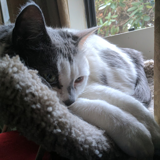 Julie Baker Photo 21