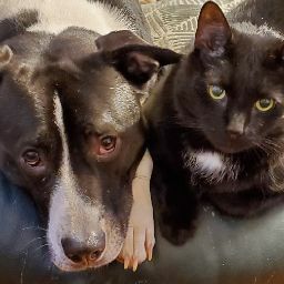 Jamie Hammond Photo 45