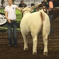 Kristin Walter Photo 4