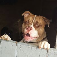 Thomas Kiefer Photo 27