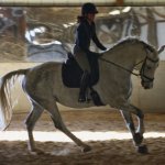 Angela Houston Photo 2