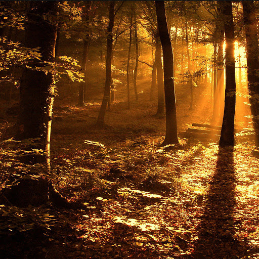 Kurt Jennings Photo 4