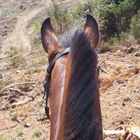 Renee Morton Photo 12