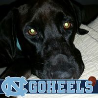 Cindy Corbett Photo 31