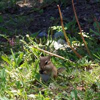 Charlotte Rose Photo 40