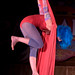 Lisa Elliott Photo 14