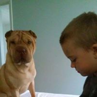 Vickie Beck Photo 16