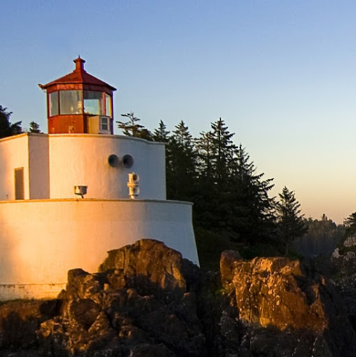 Sharon Curran Photo 35