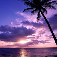 Sandra Clemmons Photo 10