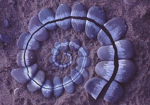 Carrie Adams Photo 30