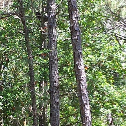 Julie Simmons Photo 13 Julie Simmons Photo 13