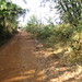 Vuong Vu Photo 13
