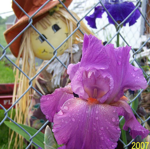 Irene Heath Photo 11