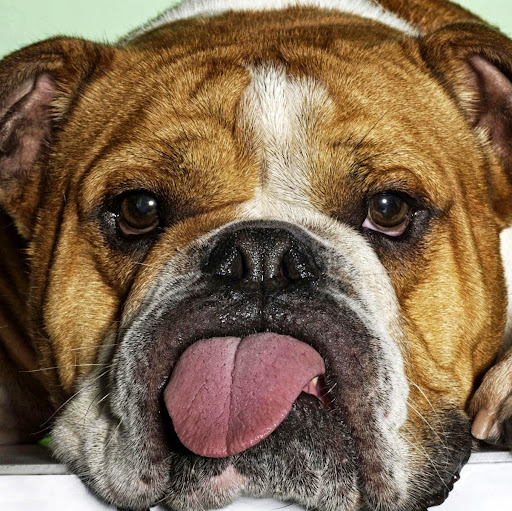 Sarah Helland Photo 13