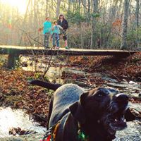 Peter Sherman Photo 33