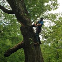 David Parton Photo 18