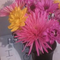 Jennifer Wilbanks Photo 3