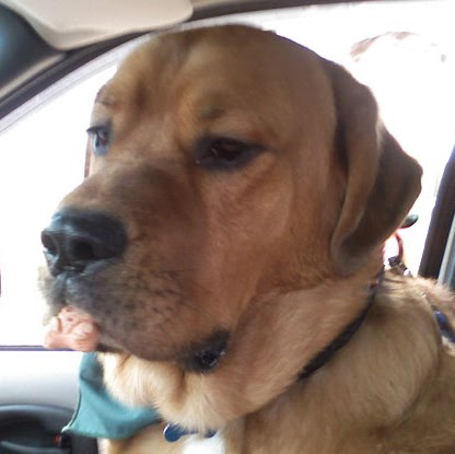 Diane Knapp Photo 31