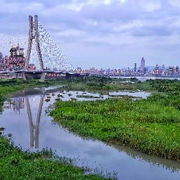 Yuchen Wang Photo 19