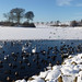 James Hamilton Photo 15