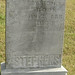 Stephen Roy Photo 37