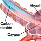 Anastasia Dillon Photo 9