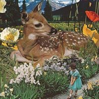 Wendy Norris Photo 10