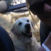 Dana Schaffer Photo 17