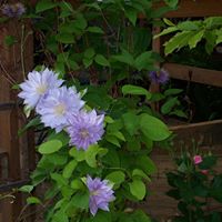 Regina Hill Photo 21