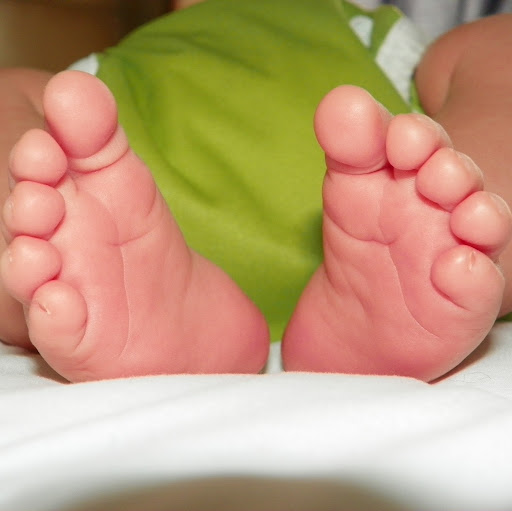 Julie Ferris Photo 22