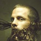 Joel Dodson Photo 13