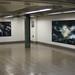 Ralph Potter Photo 27