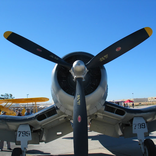 Don Rice Photo 37 Don Rice Photo 37