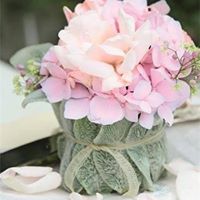 Jill Shepherd Photo 16