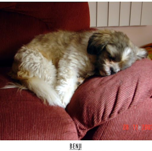 Nancy Walsh Photo 45