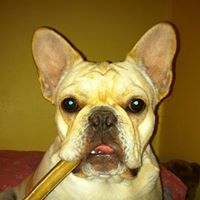 Regina Bullock Photo 32