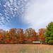 Lynn Camp Photo 10