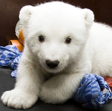 Jean Richards Photo 13 Jean Richards Photo 13