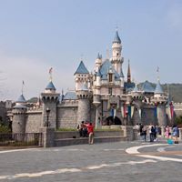 Sylvia Wang Photo 18