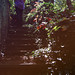 Colleen Long Photo 26