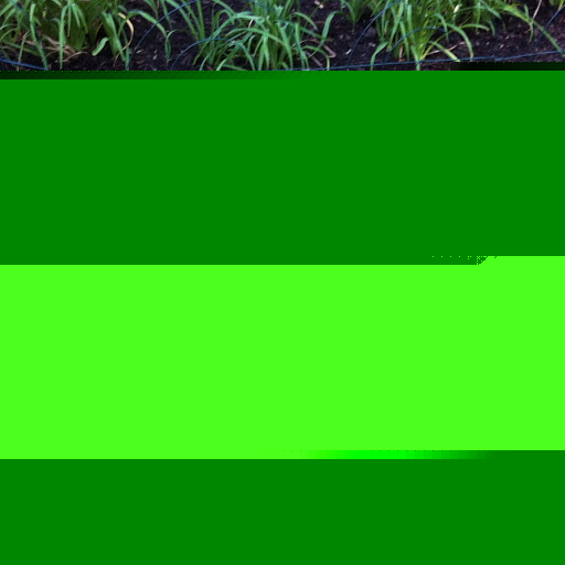 Teresa Pearson Photo 16