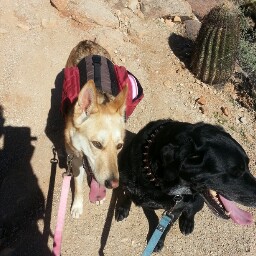 Nancy Yates Photo 31