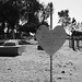 Eric Magana Photo 28
